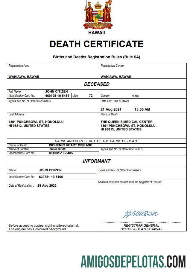 Em branco modelo Word e PDF de certidão de óbito do Havaí